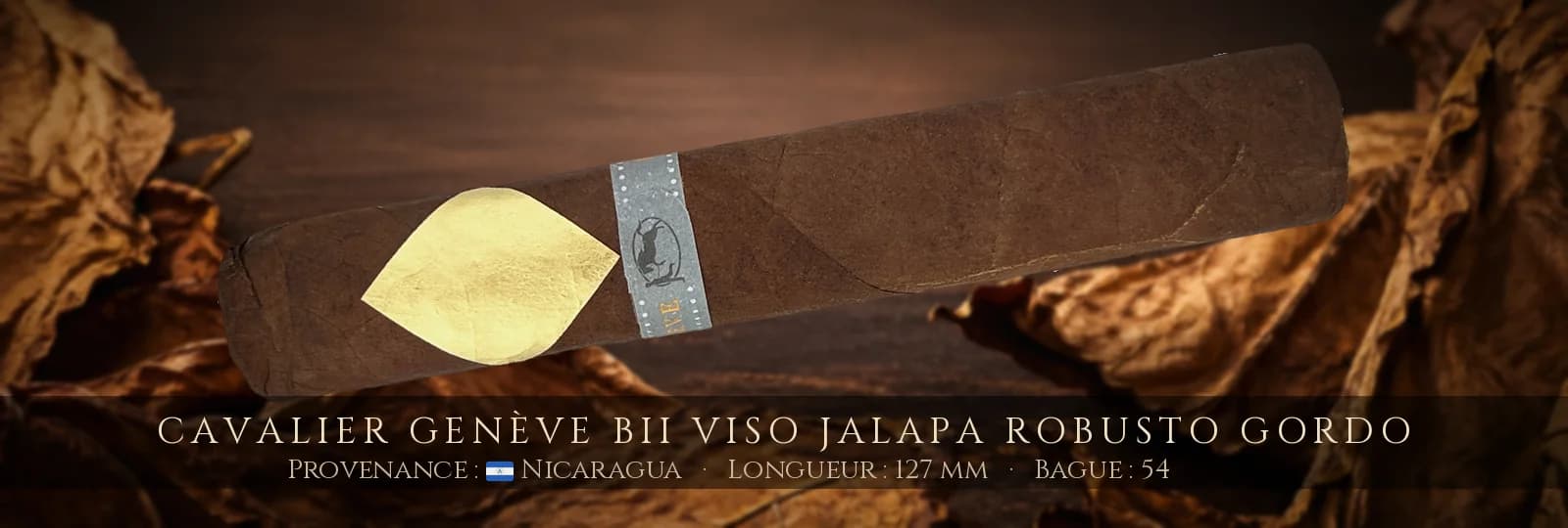 Cavalier Genève BII Viso Jalapa Robusto Gordo — Cavalier Genève — Nicaragua