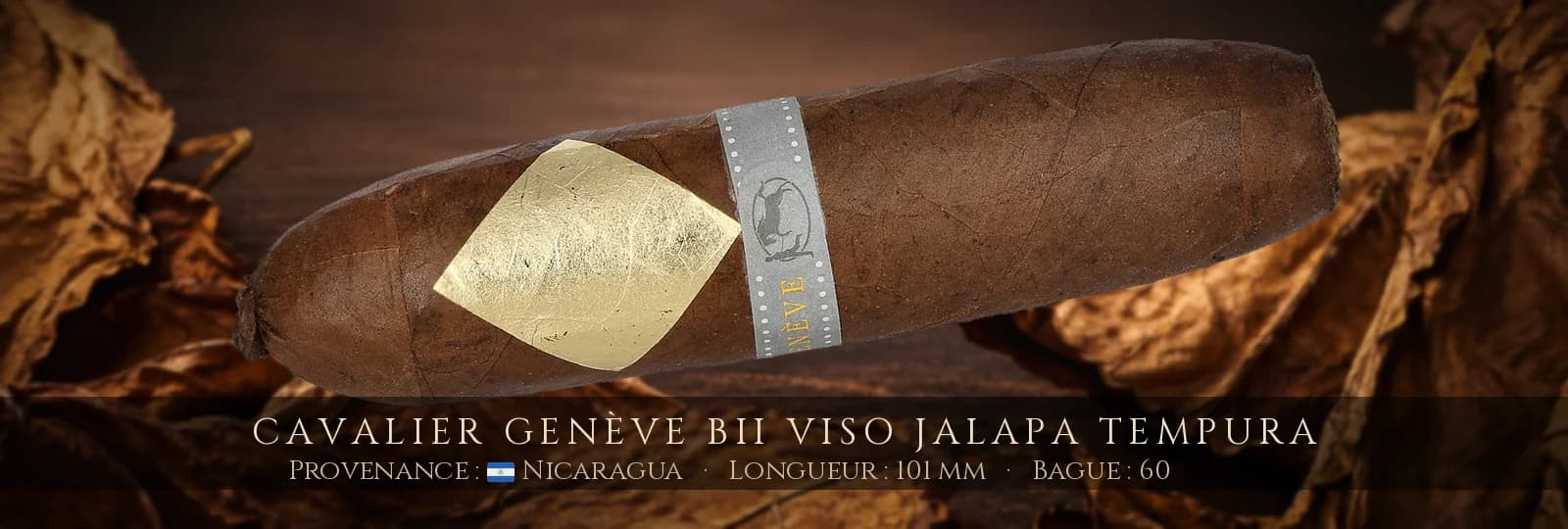 Cavalier Genève BII Viso Jalapa Tempura — Cavalier Genève — Nicaragua