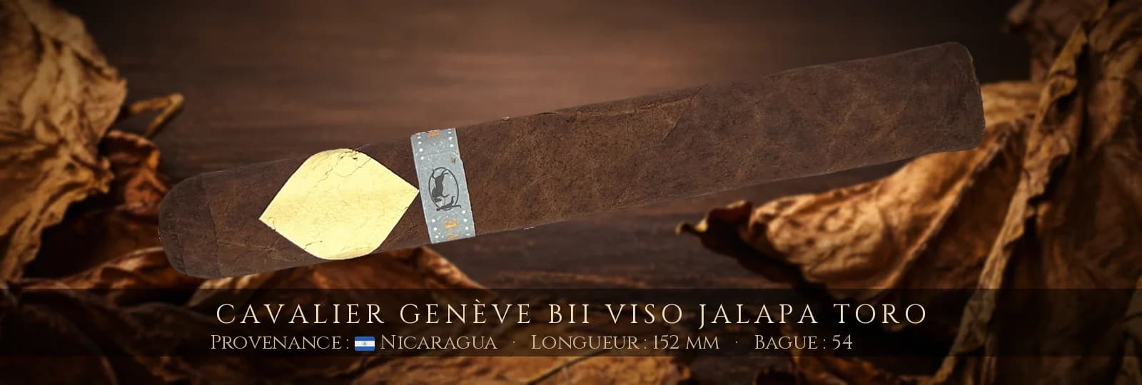 Cavalier Genève BII Viso Jalapa Toro — Cavalier Genève — Nicaragua