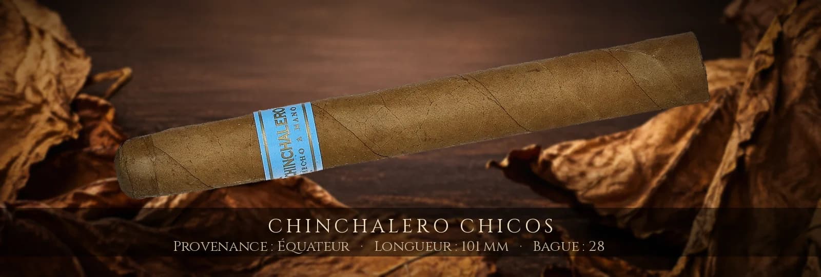 Chinchalero Chicos — Chinchalero — Équateur