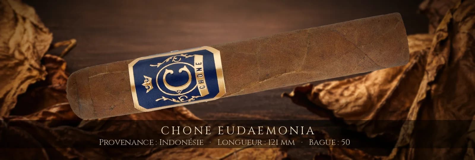 Chone Eudaemonia — Chone — Indonésie