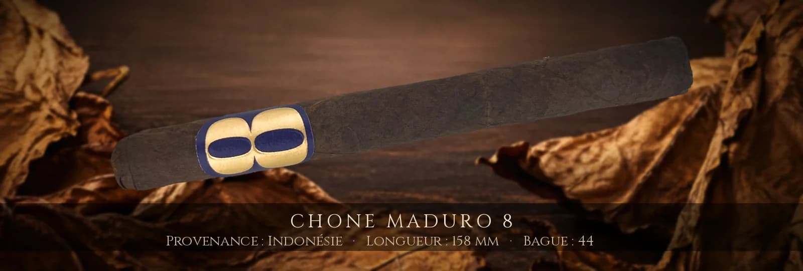 Chone Maduro 8 — Chone — Indonésie