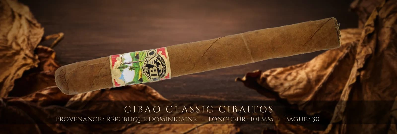 Cibao Classic Cibaitos — Cibao — République Dominicaine