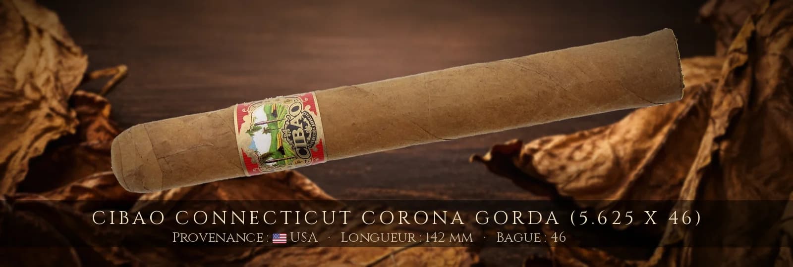Cibao Connecticut Corona Gorda (5.625 x 46) — Cibao — USA