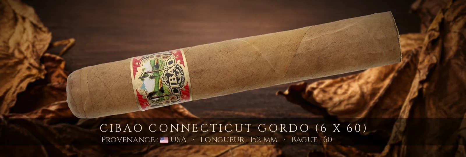 Cibao Connecticut Gordo (6 x 60) — Cibao — USA