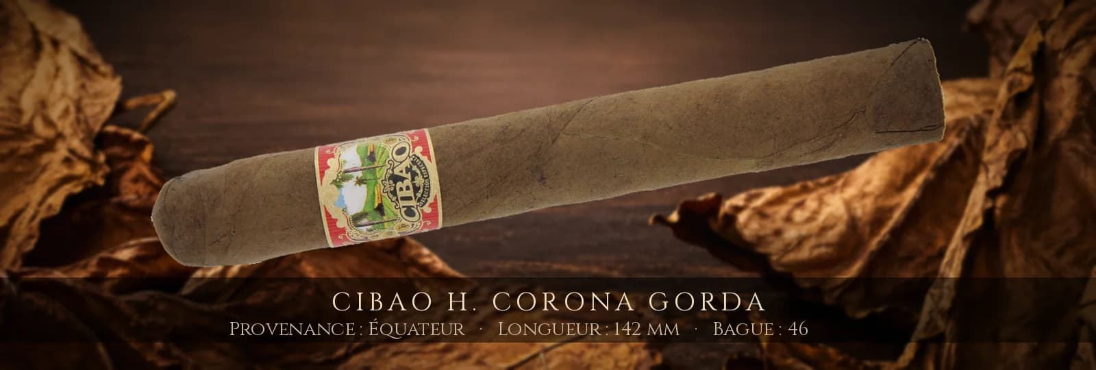 Cibao H. Corona Gorda — Cibao — Équateur