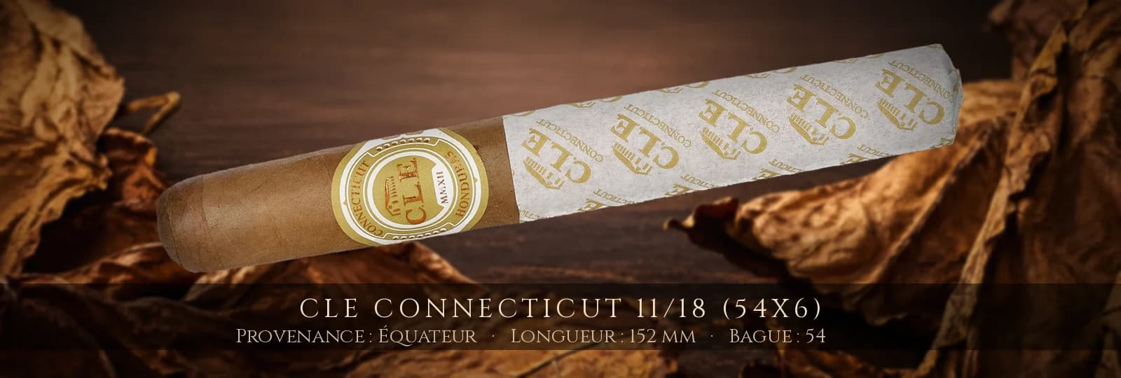 CLE Connecticut 11/18 (54x6) — CLE — Équateur