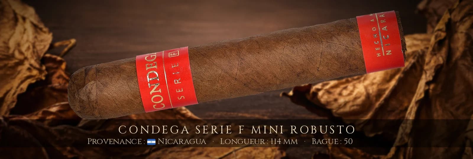 Condega Serie F Mini Robusto — Condega — Nicaragua