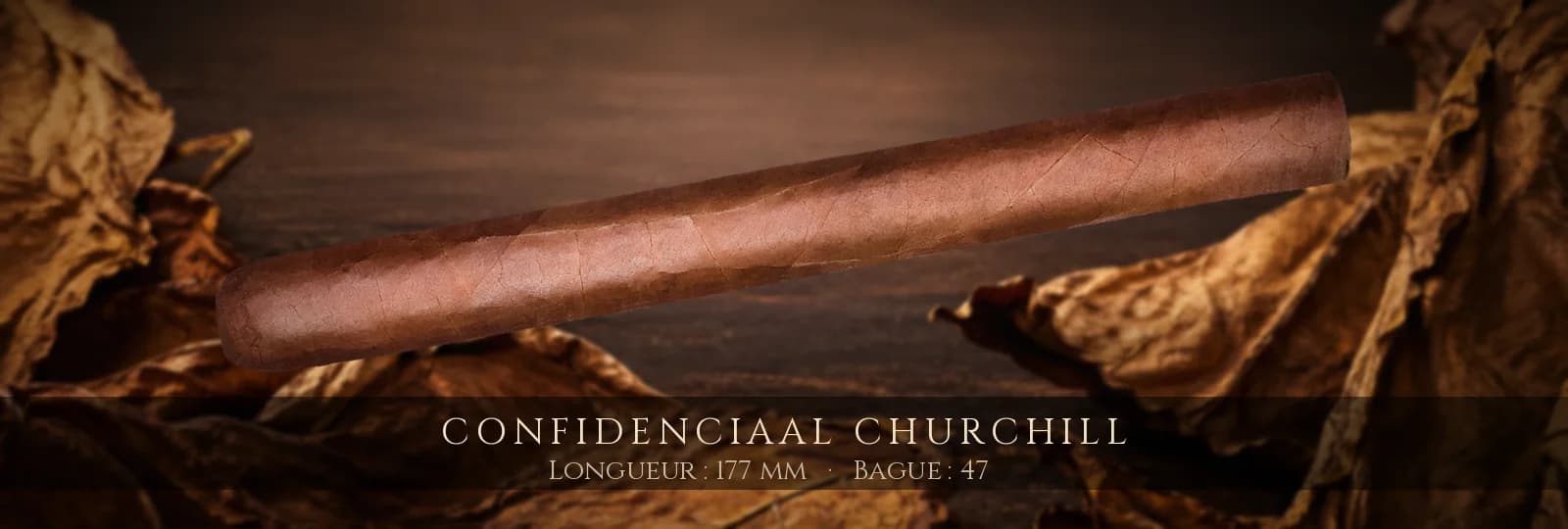 Confidenciaal Churchill — Confidenciaal