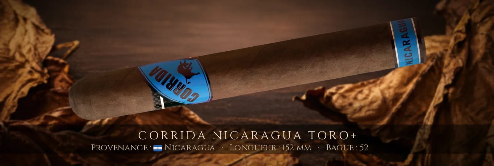 Corrida Nicaragua Toro+ — Corrida — Nicaragua