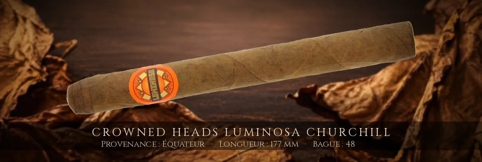 Crowned Heads Luminosa Churchill — Crowned Heads — Équateur