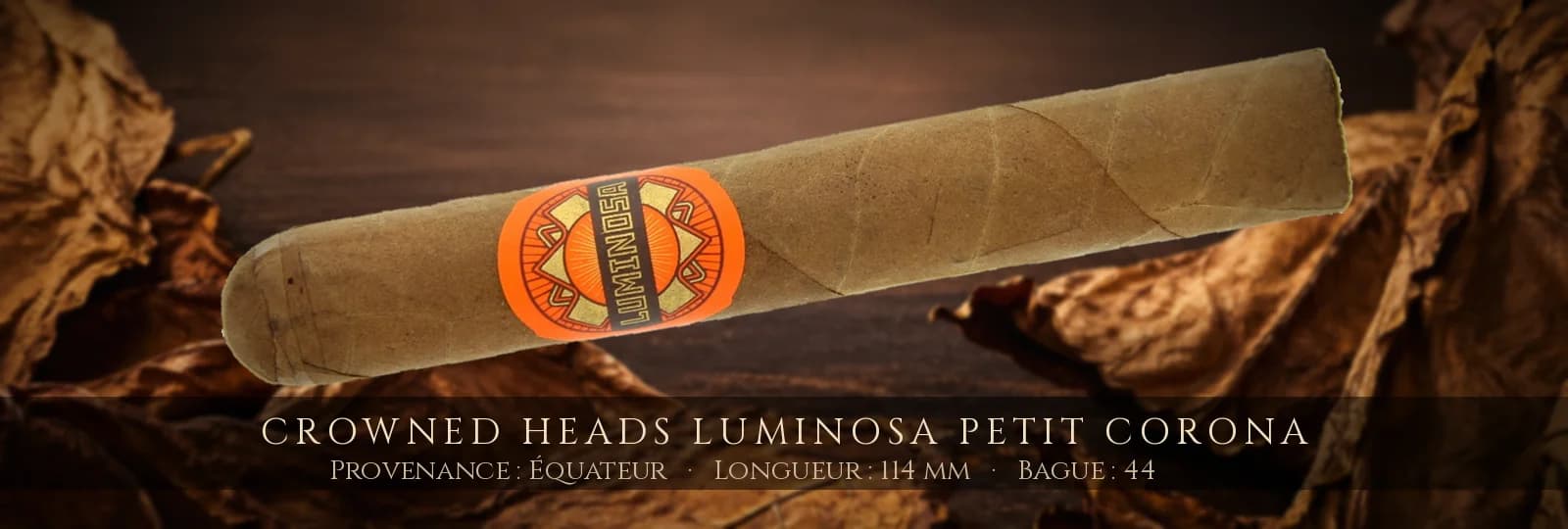 Crowned Heads Luminosa Petit Corona — Crowned Heads — Équateur