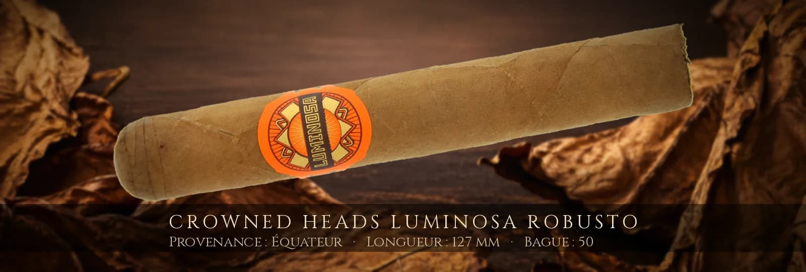 Crowned Heads Luminosa Robusto — Crowned Heads — Équateur