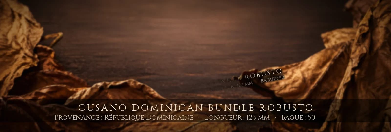 Cusano Dominican Bundle Robusto — Cusano — République Dominicaine
