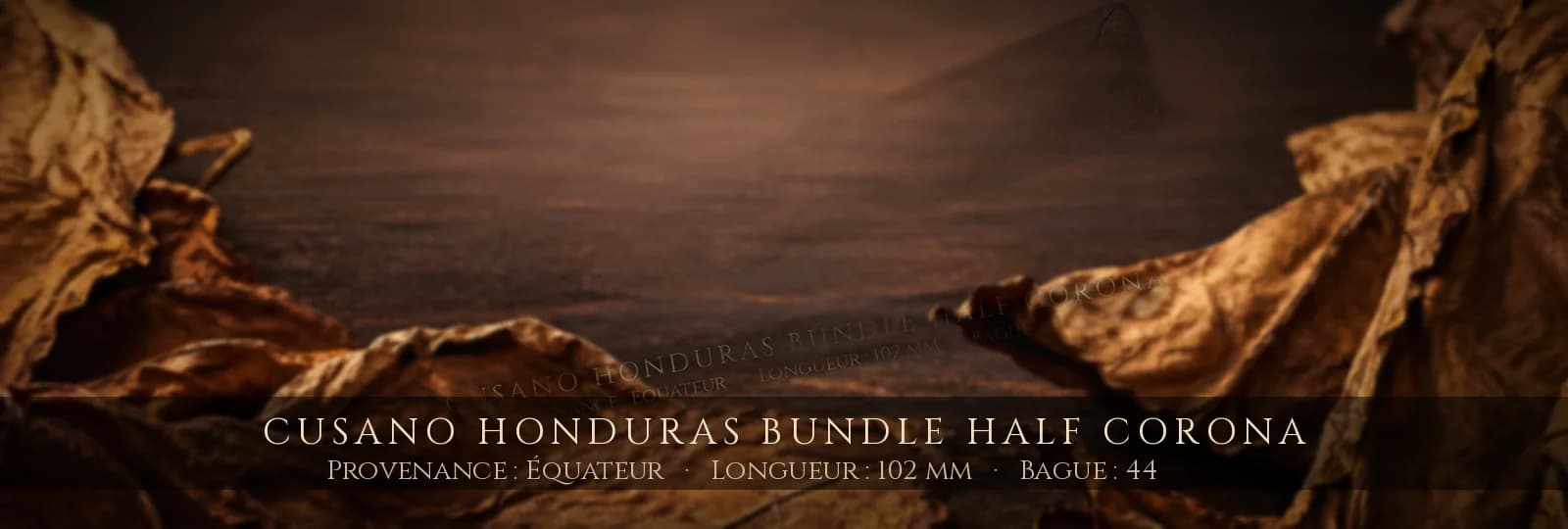 Cusano Honduras Bundle Half Corona — Cusano — Équateur