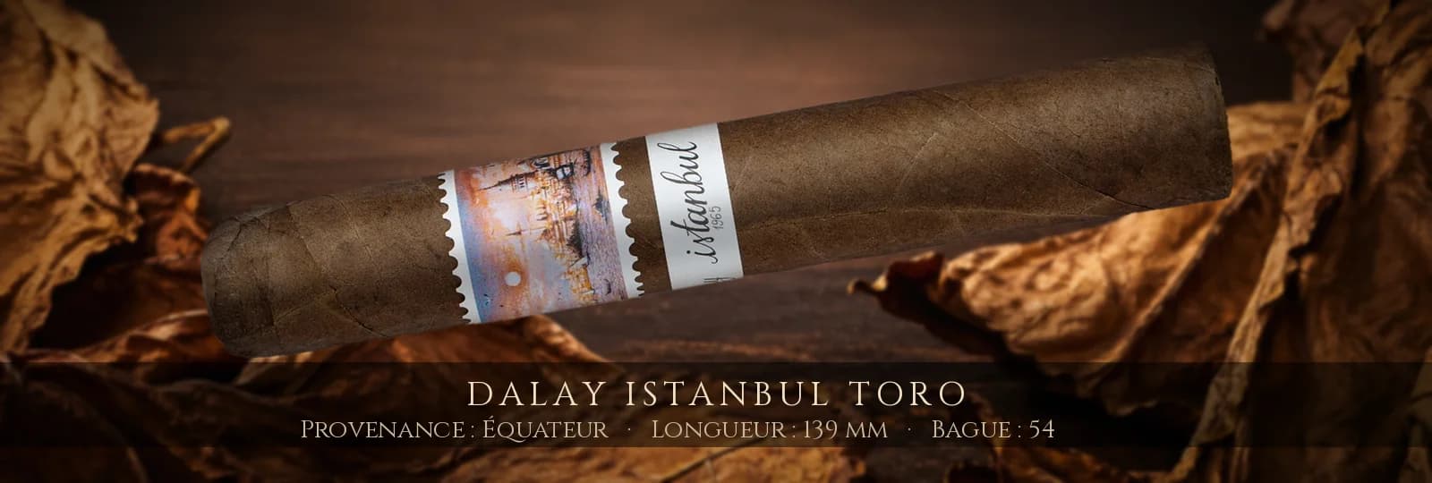 Dalay Istanbul Toro — Dalay — Équateur