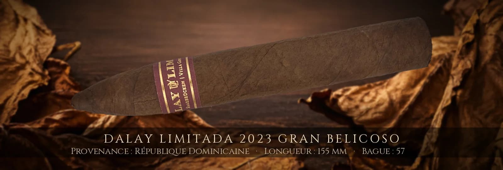 Dalay Limitada 2023 Gran Belicoso — Dalay — République Dominicaine