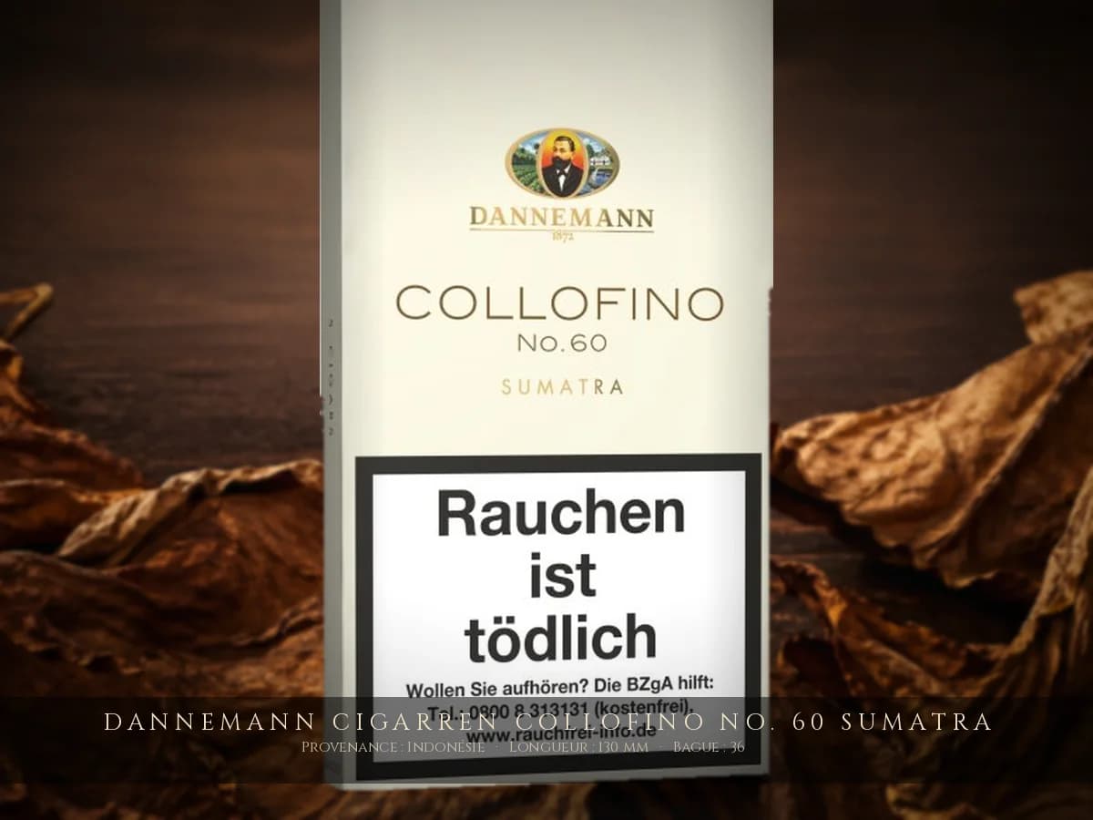 Dannemann Cigarren Collofino No. 60 Sumatra — Dannemann — Indonésie