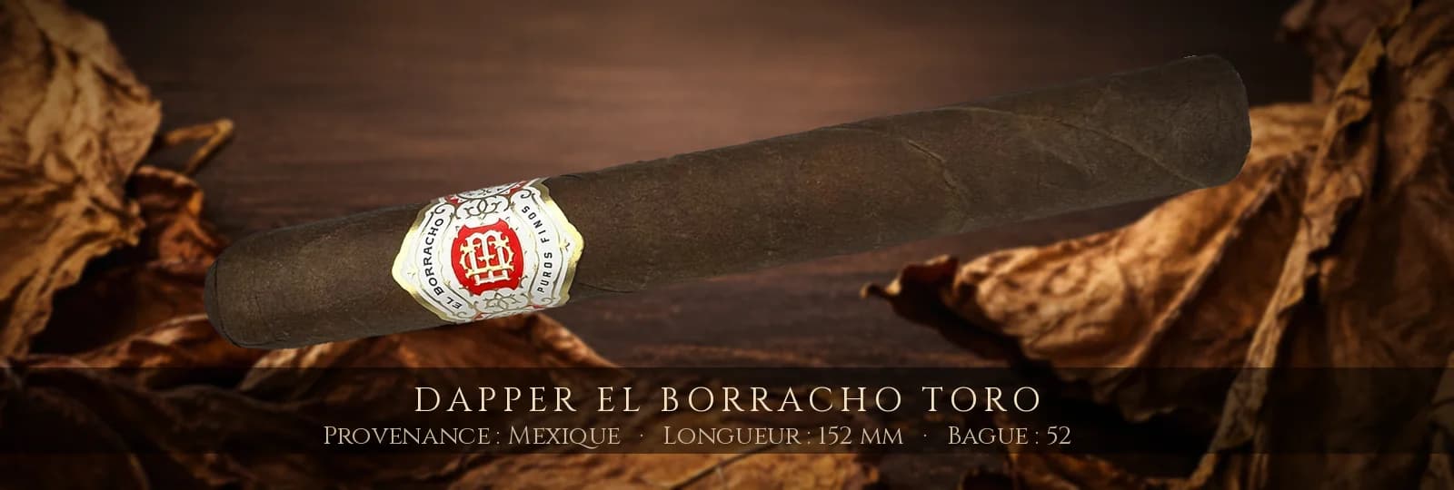Dapper El Borracho Toro — Dapper — Mexique