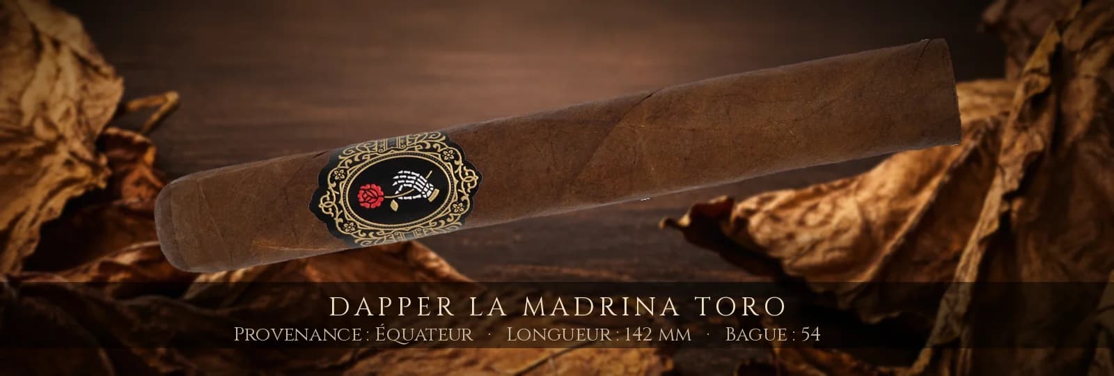 Dapper La Madrina Toro — Dapper — Équateur