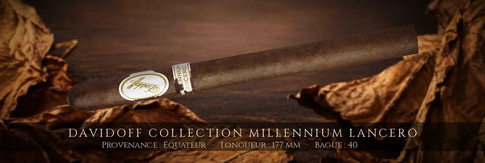 Davidoff Collection Millennium Lancero — Davidoff — Équateur
