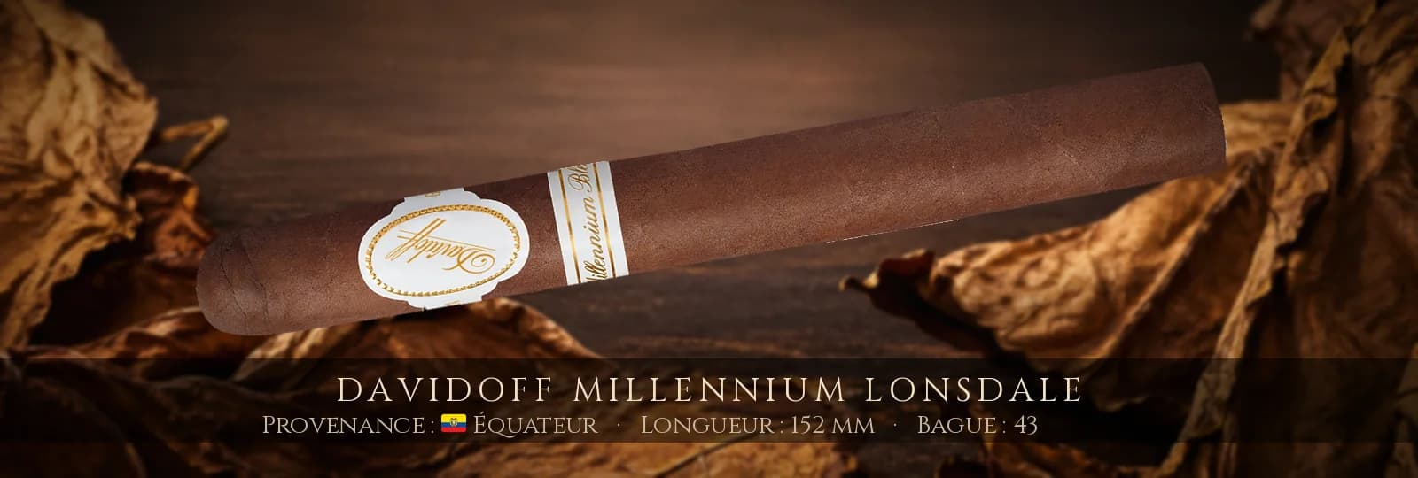 Davidoff Millennium Lonsdale — Davidoff — Équateur