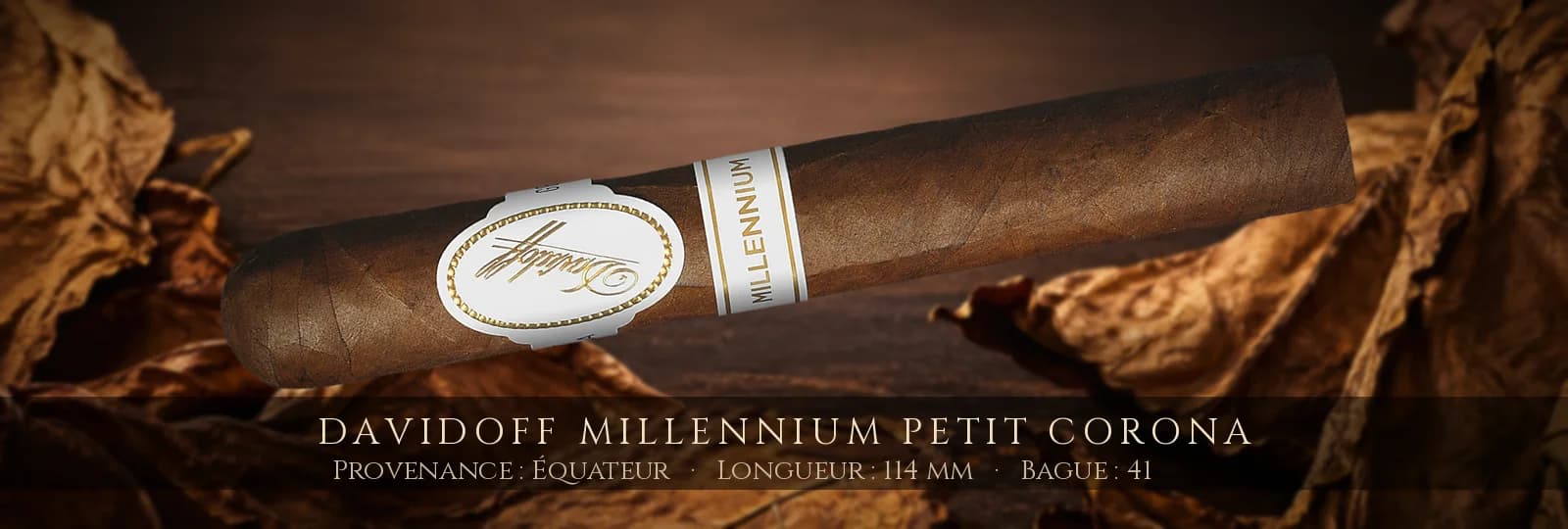 Davidoff Millennium Petit Corona — Davidoff — Équateur