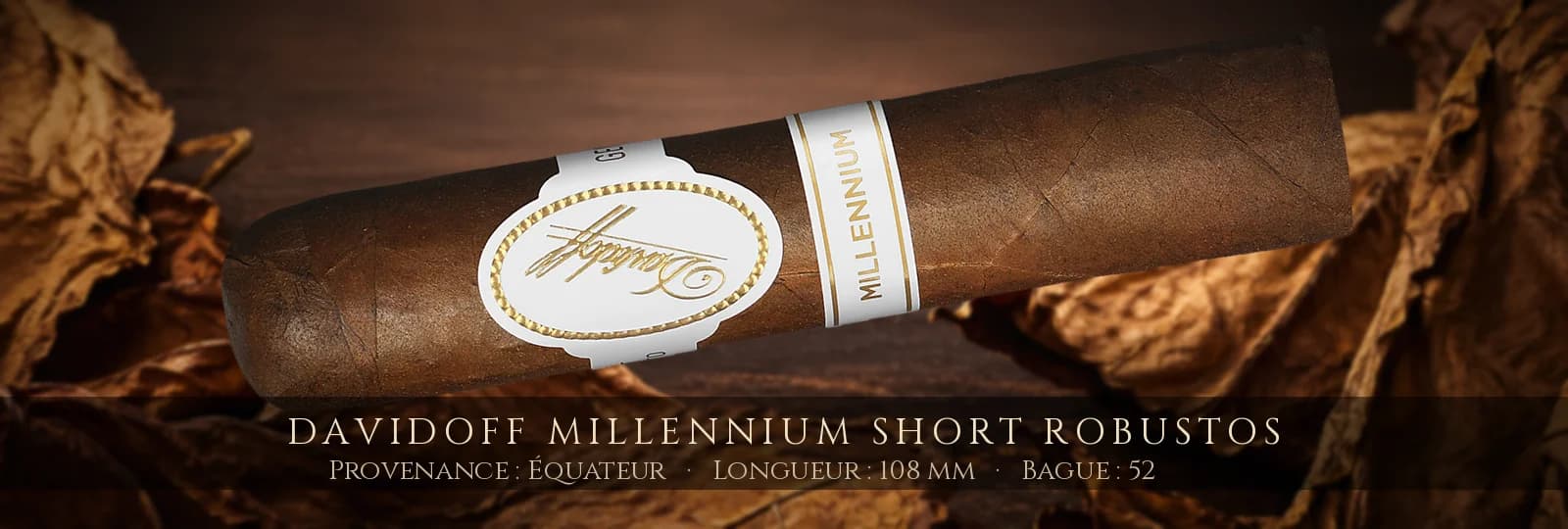 Davidoff Millennium Short Robustos — Davidoff — Équateur