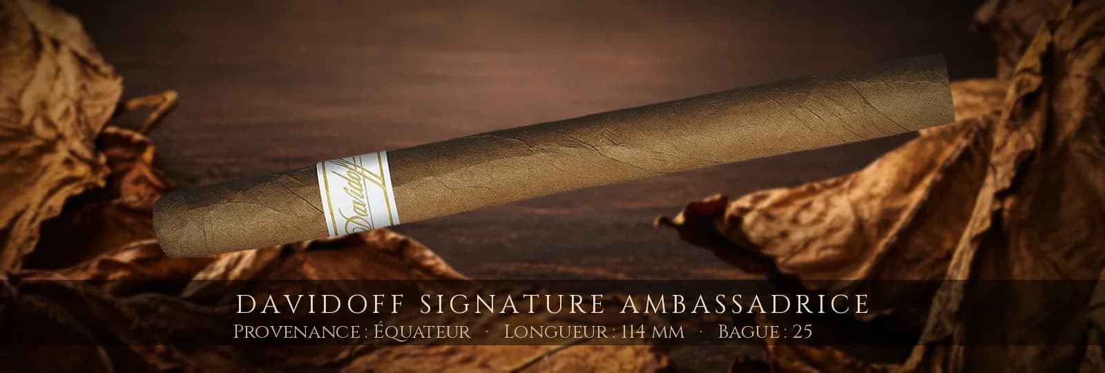 Davidoff Signature Ambassadrice — Davidoff — Équateur