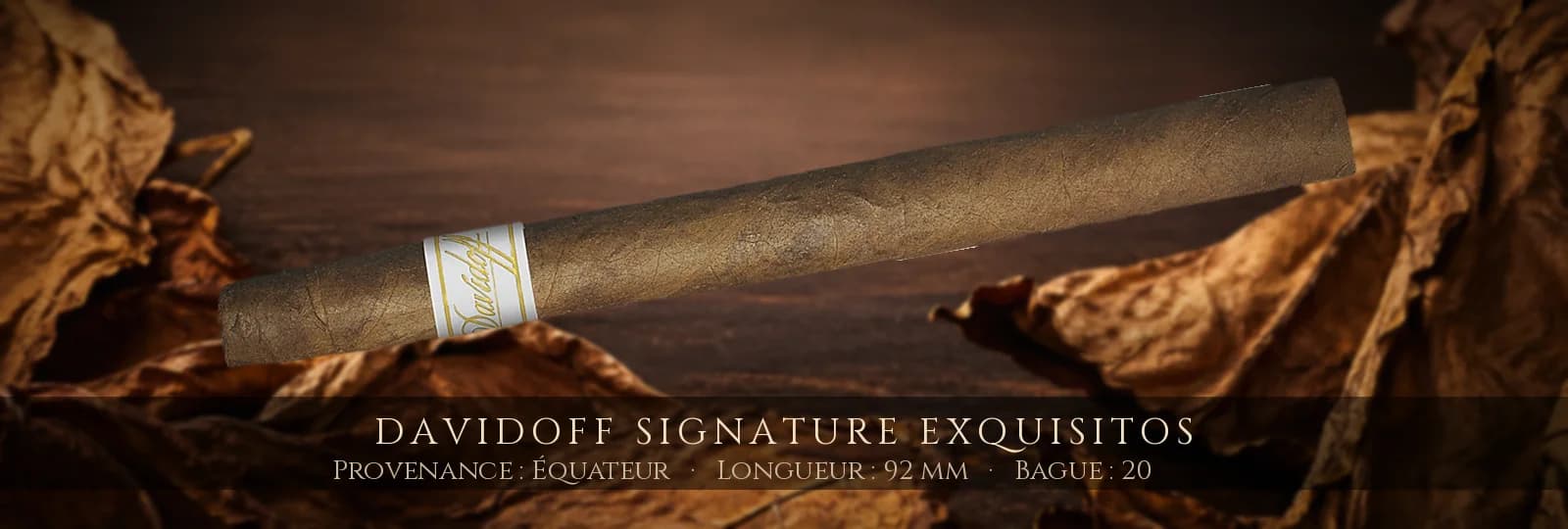 Davidoff Signature Exquisitos — Davidoff — Équateur