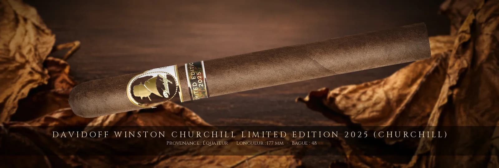 Davidoff Winston Churchill Limited Edition 2025 (Churchill) — Davidoff — Équateur