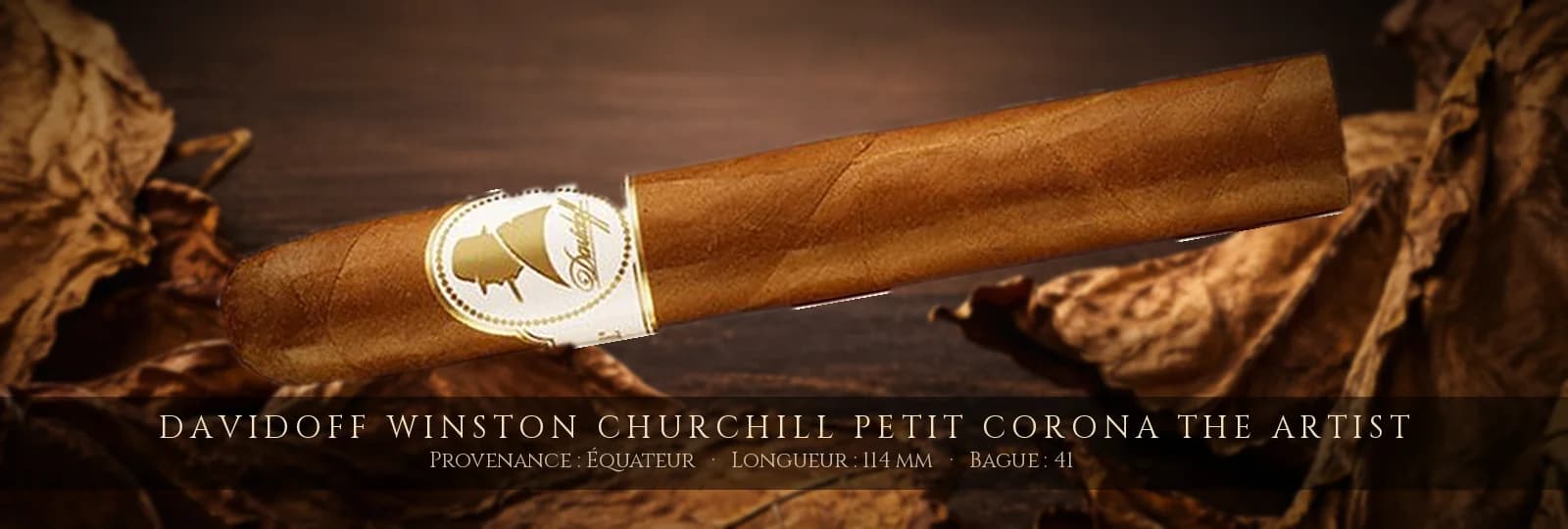 Davidoff Winston Churchill Petit Corona The Artist — Davidoff — Équateur