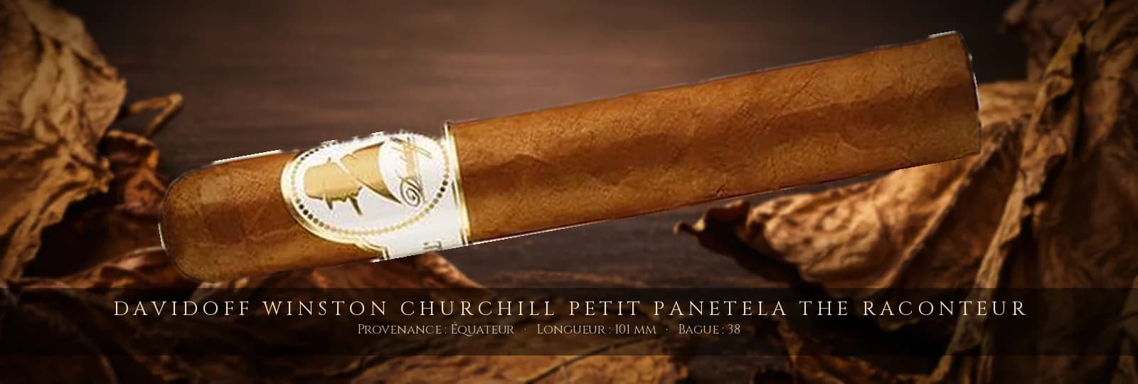 Davidoff Winston Churchill Petit Panetela The Raconteur — Davidoff — Équateur