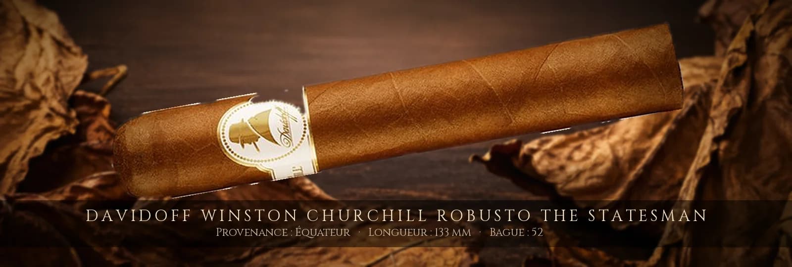 Davidoff Winston Churchill Robusto The Statesman — Davidoff — Équateur
