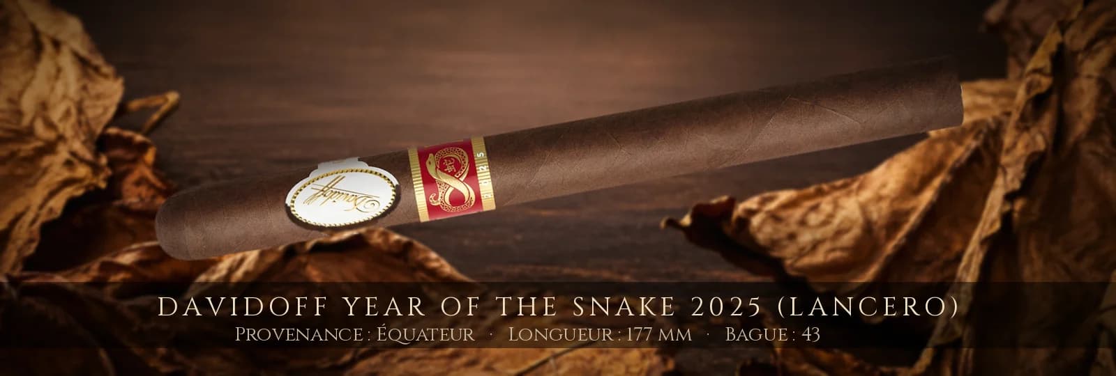 Davidoff Year Of The Snake 2025 (Lancero) — Davidoff — Équateur