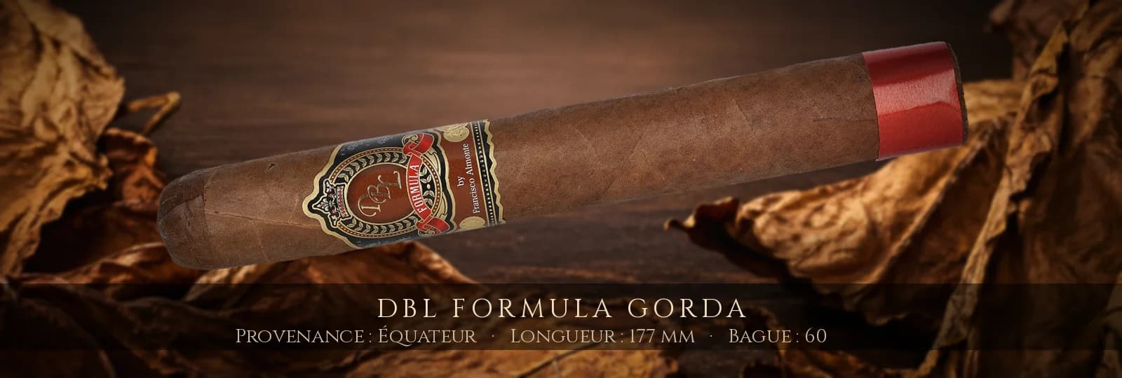 DBL Formula Gorda — DBL — Équateur