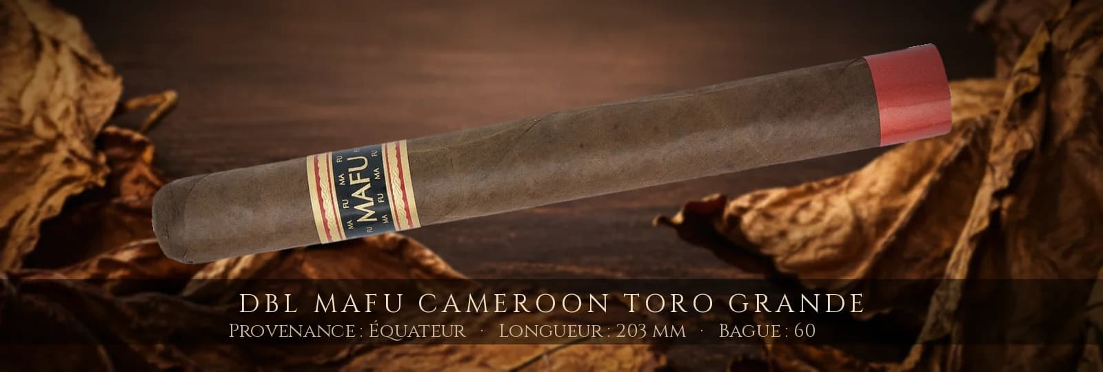 DBL Mafu Cameroon Toro Grande — DBL — Équateur