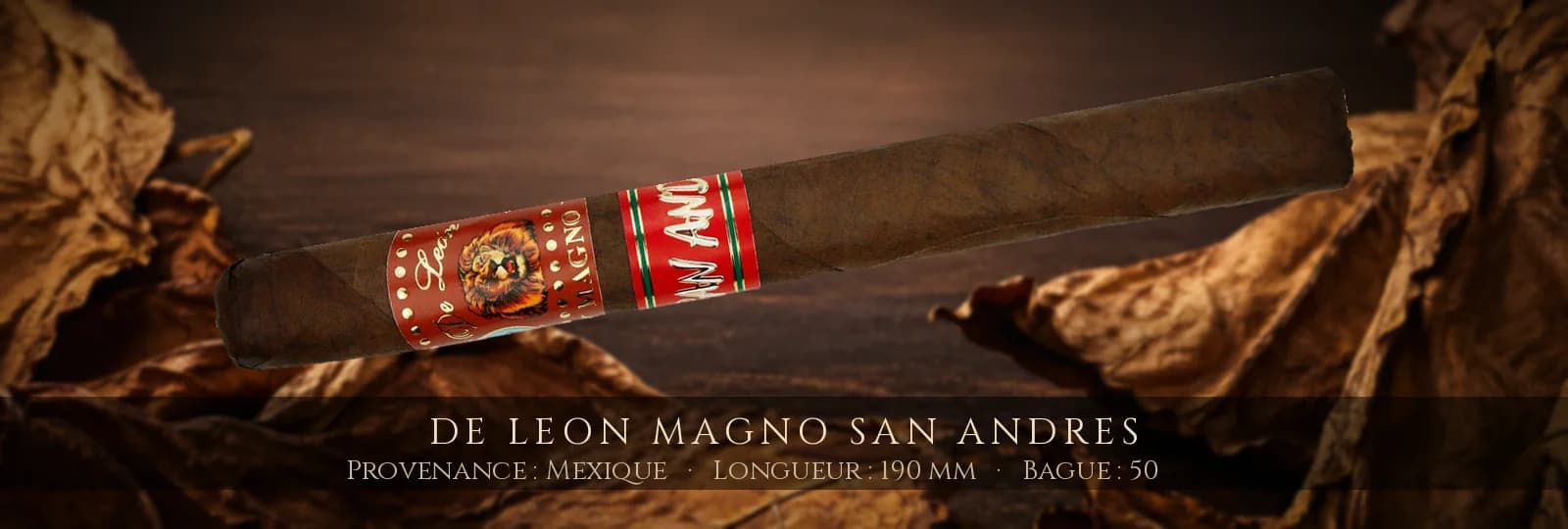 De Leon Magno San Andres — De Leon — Mexique