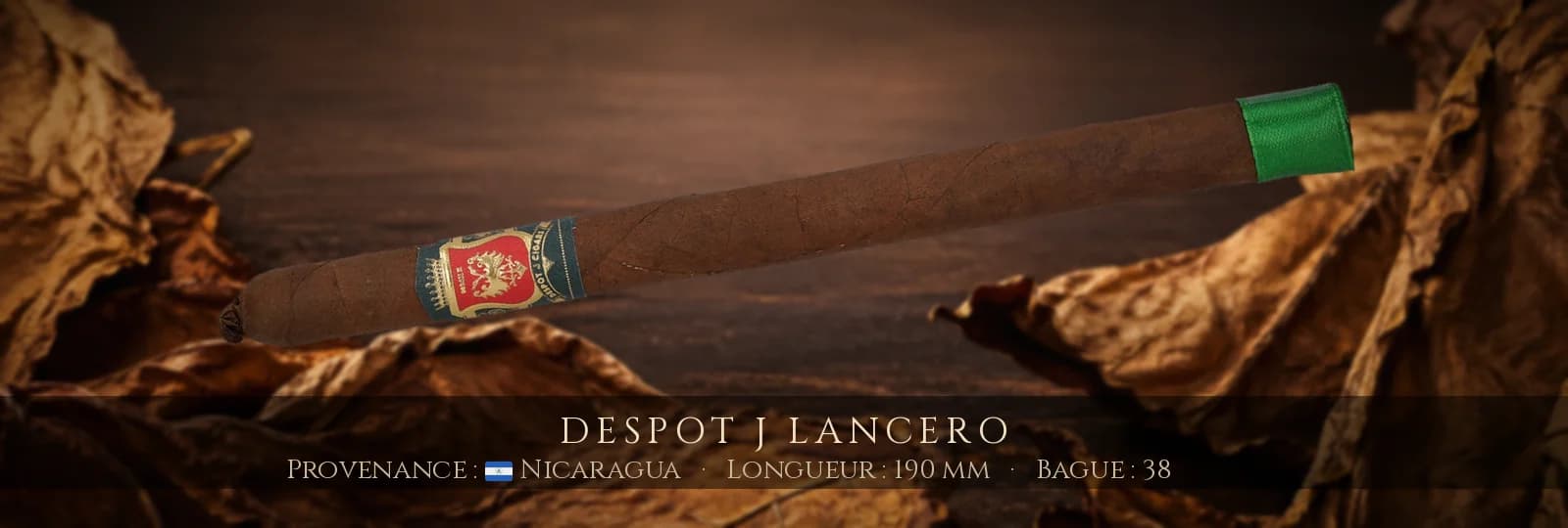 Despot J Lancero — Despot — Nicaragua