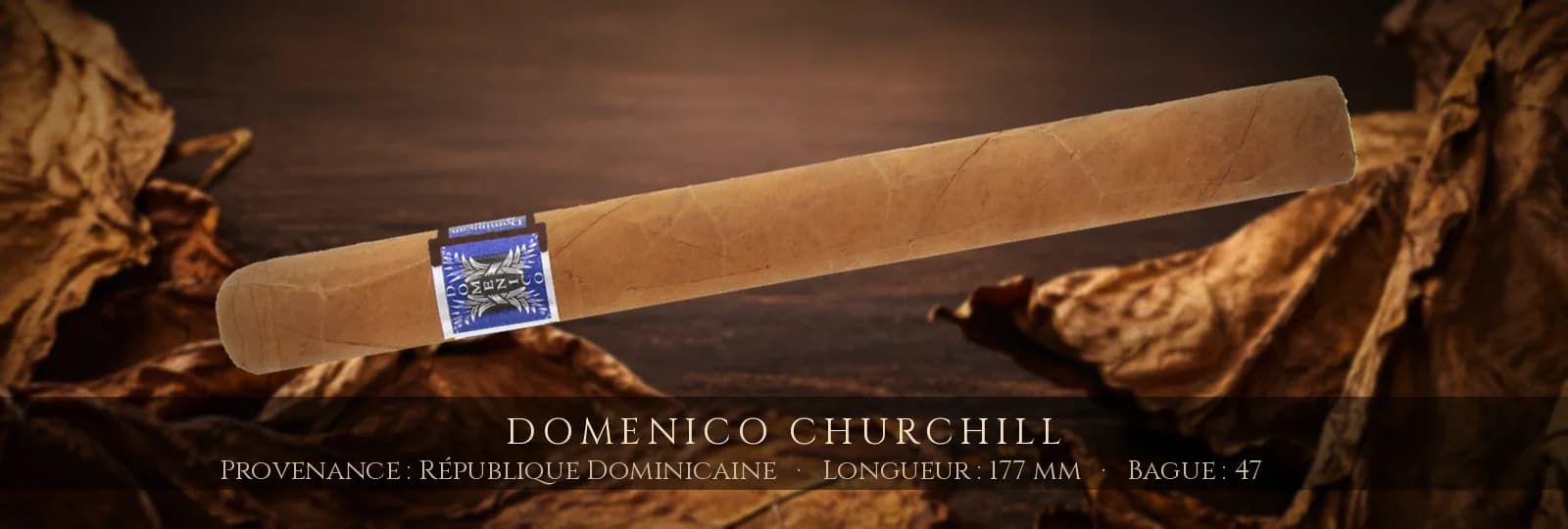 Domenico Churchill — Domenico — République Dominicaine