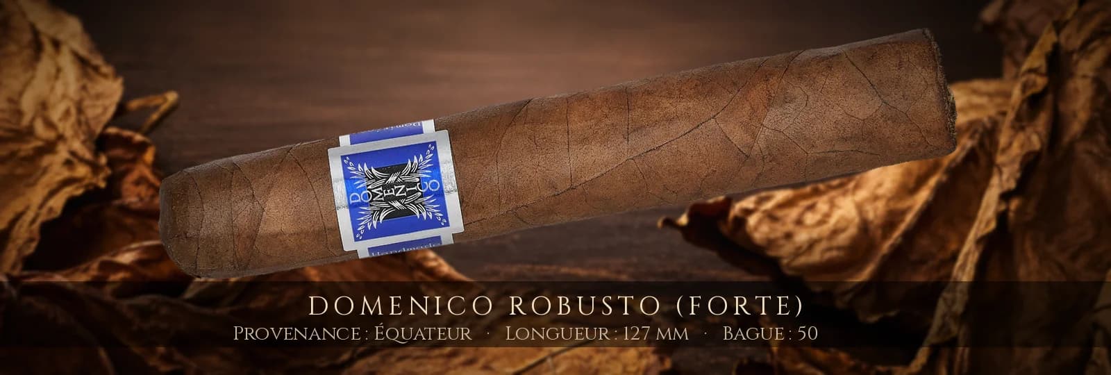 Domenico Robusto (Forte) — Domenico — Équateur