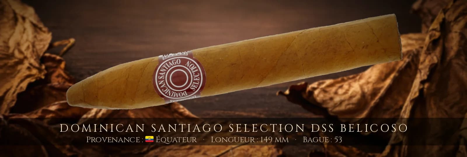 Dominican Santiago Selection DSS Belicoso — Dominican Santiago Selection — Équateur