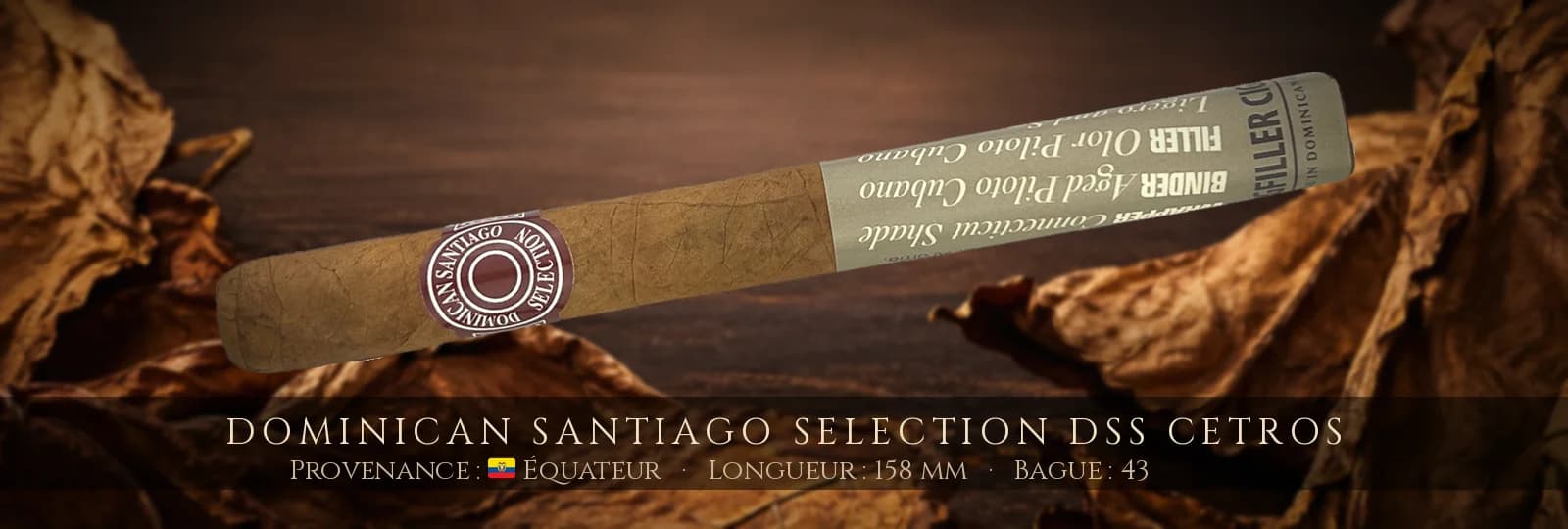 Dominican Santiago Selection DSS Cetros — Dominican Santiago Selection — Équateur