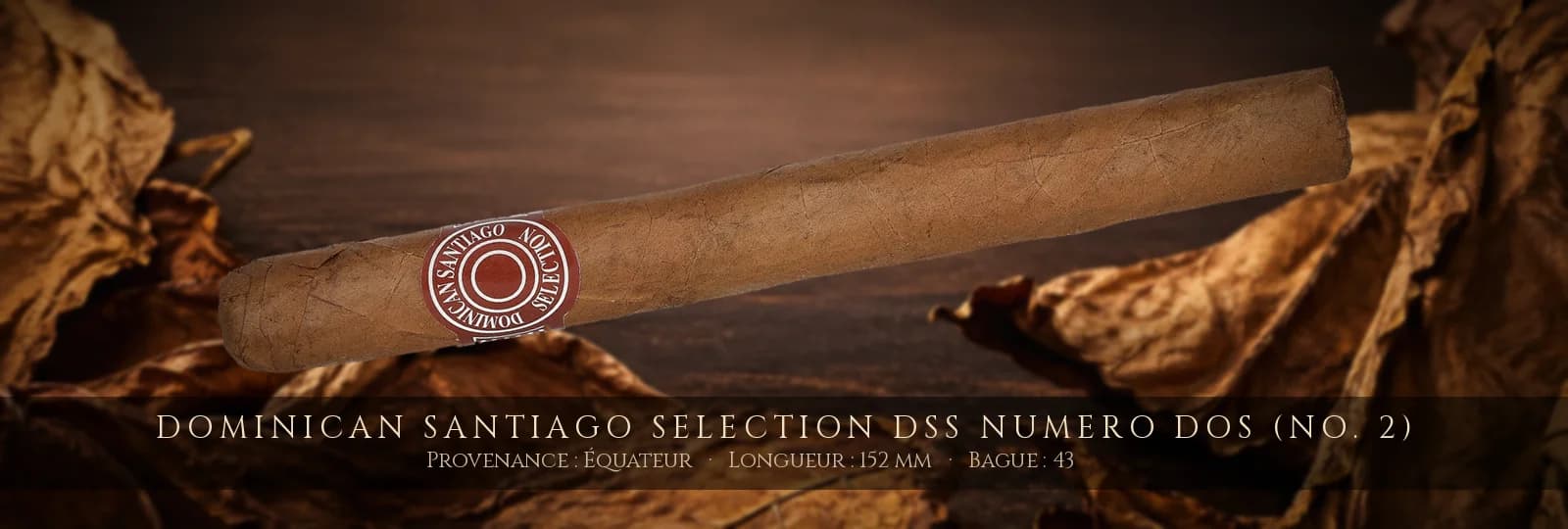Dominican Santiago Selection DSS Numero Dos (No. 2) — Dominican Santiago Selection — Équateur