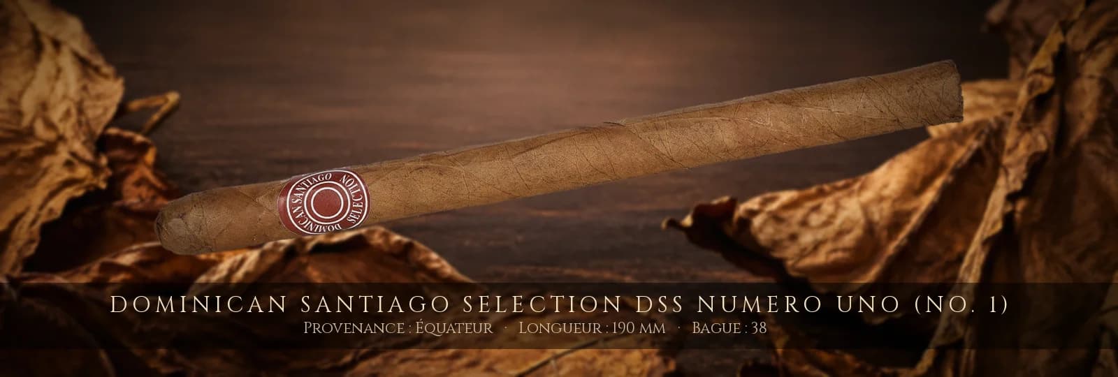 Dominican Santiago Selection DSS Numero Uno (No. 1) — Dominican Santiago Selection — Équateur