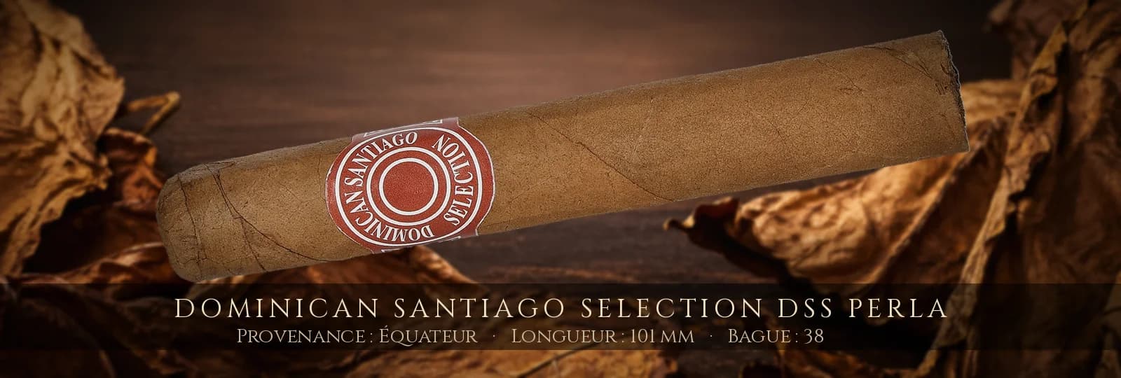 Dominican Santiago Selection DSS Perla — Dominican Santiago Selection — Équateur