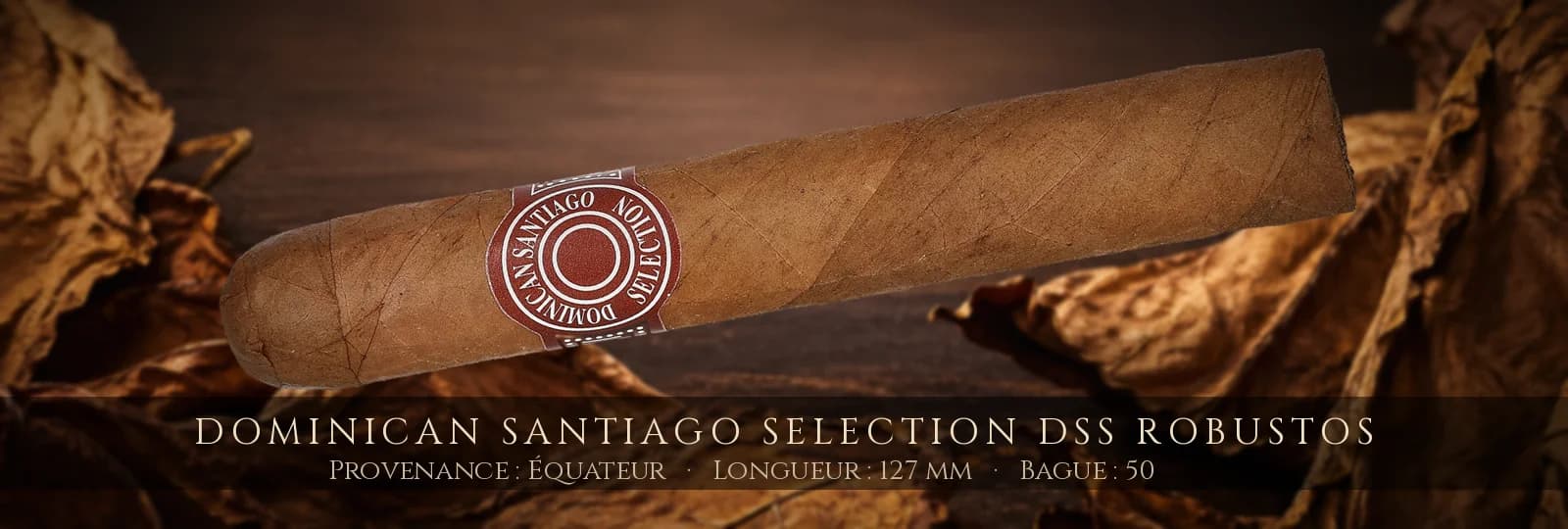 Dominican Santiago Selection DSS Robustos — Dominican Santiago Selection — Équateur