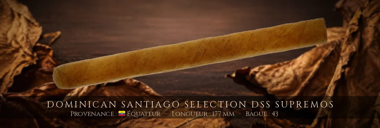 Dominican Santiago Selection DSS Supremos — Dominican Santiago Selection — Équateur