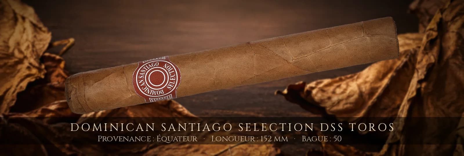 Dominican Santiago Selection DSS Toros — Dominican Santiago Selection — Équateur