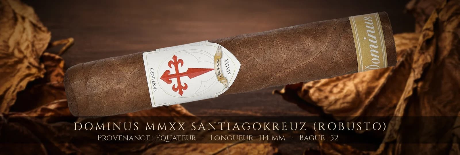 Dominus MMXX Santiagokreuz (Robusto) — Dominus — Équateur